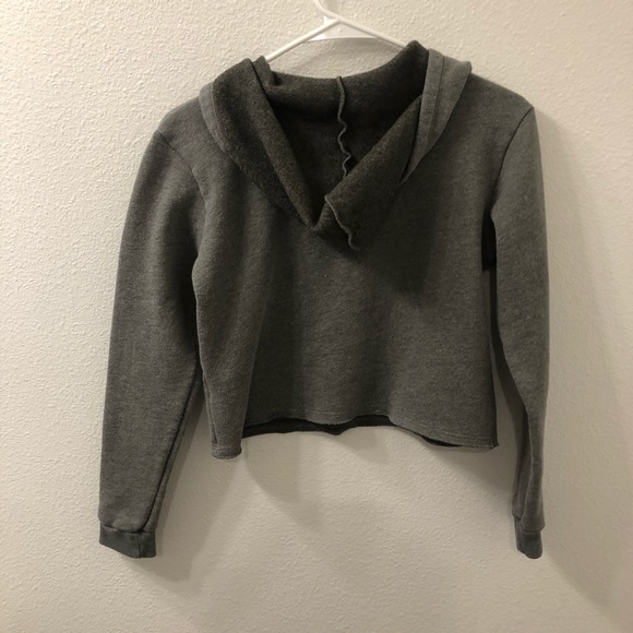 North Florida osprey pullover cropped hoodie gray - Picture 4 of 4